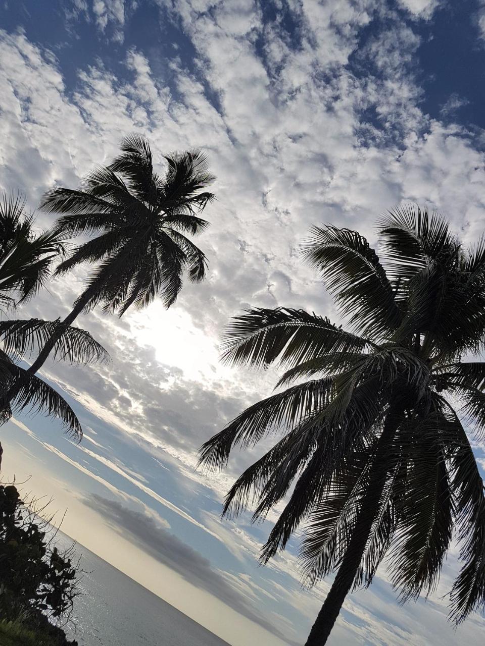 Playa Tranquilo Hotel