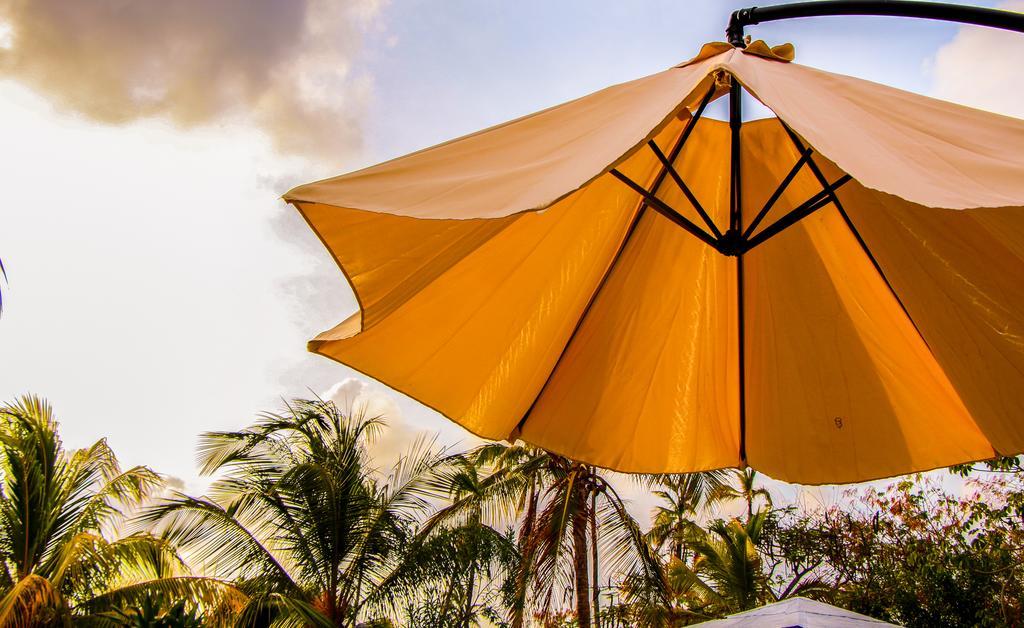 Hotel Playa Tranquilo And Dive Shop