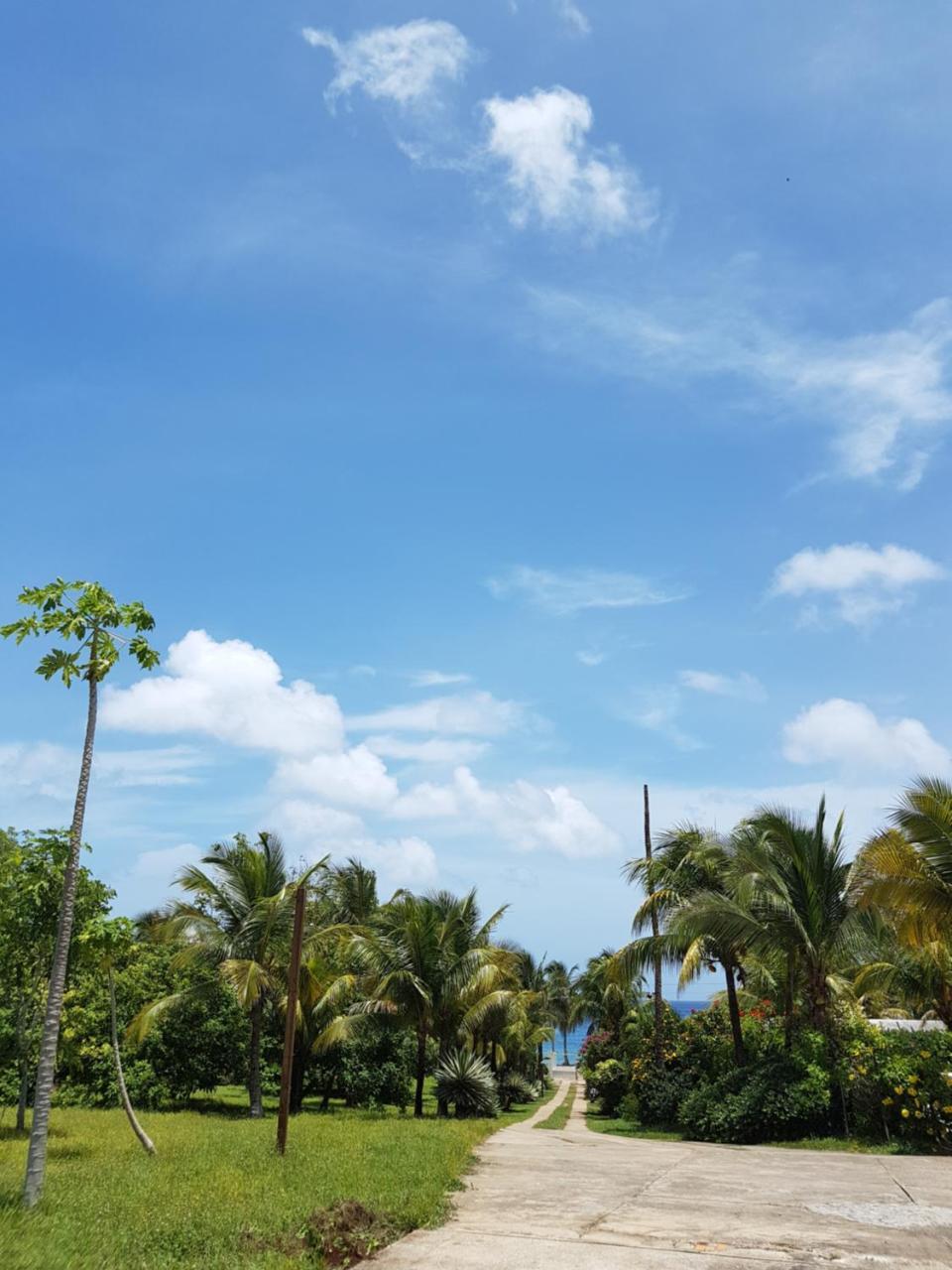 Playa Tranquilo And Dive Shop San Andrés