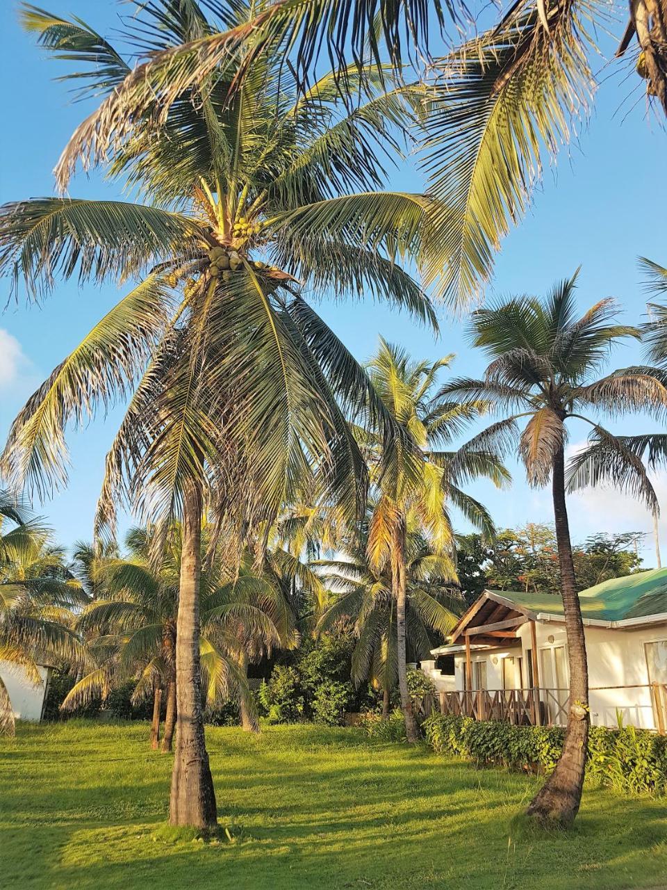 Hotel Playa Tranquilo And Dive Shop